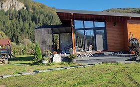 Casuta de sub stanca Apuseni,hot tub si sauna inclus